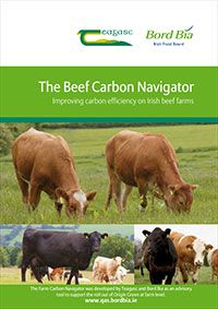 2019 - The Beef Carbon Navigator - Teagasc | Agriculture and Food  Development Authority